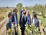 سفر یک روزه معاون آب و خاک وزارت جهاد کشاورزی به دهستان اختراباد