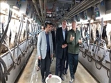 افتتاح خط شیردوشی مکانیزه تمام اتوماتیک در شهرستان ملارد