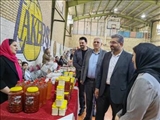 برگزاری جشنواره محصولات تولیدات خانگی بانوان کارآفرین در شهرستان قدس / فرصتی برای حمایت از کسب‌وکارهای خانگی در هفته دولت