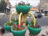 كاشت گل‌ها و گیاهان زینتی در شهرقدس