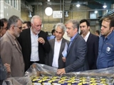 بازدید استاندار تهران از صنایع شهرستان قدس