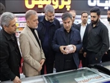 بازدید معاون اقتصادی استانداری تهران از فروشگاه‌های شهرستان بهارستان در واپسین روز سال ۱۴۰۴