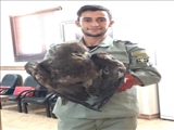 تحویل یک قطعه پرنده شکاری از نوع "عقاب" 