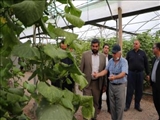 بازدید فرماندار قرچک از گلخانه روستای صالح آباد