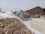 کشف ۸۳ تن پودر استخوان و مکمل خوراک دام از یک کارگاه غیر مجاز در شهرستان قرچک