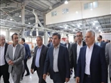 بازدید معاون هماهنگی امور اقتصادی استانداری تهران از شرکت‌های تولیدی ، صنعتی و غذایی شهرستان قرچک در راستای حمایت از تولید