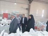 بازدید معاون برنامه‌ریزی فرماندار و مدیر پست بانک شرق استان تهران از واحد تولیدی شهرستان قرچک​​​​​​ ​​