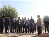 مشکلات گلخانه داران روستای صالح‌آباد قرچک با آغاز عملیات گازرسانی مرتفع شد