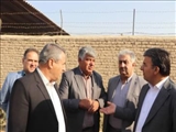 بازدید معاون استاندار از دامپروری جرگه قرچک / بررسی افزایش ظرفیت به ۸۰۰۰ رأس در ستاد تسهیل استان
