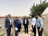 بررسی مشکلات یک واحد گلخانه در بازدید میدانی توسط فرماندار شهرستان قرچک