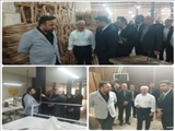 بررسی و رفع مشکلات دو واحد تولیدی از سوی ستاد تسهیل و رفع موانع تولید شهرستان پردیس