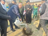 برگزاری آیین غرس نهال در بوستان امام رضا(ع) پردیس با حضور مسئولان شهرستان