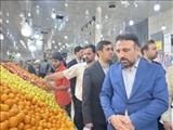 نظارت میدانی ستاد تنظیم بازار بر فروشگاه‌های شهرستان پردیس
