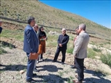 بازدید میدانی مسئولان شهرستان پردیس از مرکز نگهداری سگ‌های بلاصاحب