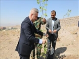 از سوی مسئولان شهرستان پردیس انجام گرفت: غرس نهال به یاد شهدا در هفته دولت