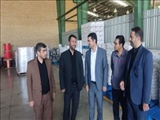 بررسی میدانی مشکلات تولید کنندگان