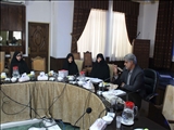 دومین جلسه شورای راهبردی امور بانوان دستگاهها در شهرستان تهران برگزار شد