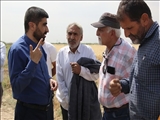 بازدید سرپرست بخشداری کهریزک از فرایند برداشت گندم در مزارع روستای دوتویه سفلی 