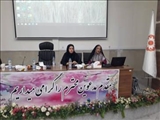 برگزاری کارگاه آموزشی و بازآموزی cbr با موضوع صندوق های مالی خرد محلی در بهزیستی شهرستان ری