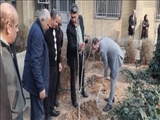 آیین گرامیداشت روز درختکاری در بهزیستی شهرستان ری