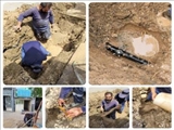 ریشه درخت عامل افت فشار در روستای کاشانک بخش آفتاب