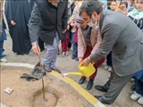 کاشت چند اصله نهال مثمر باحضور فرماندار ویژه شهرستان ری همزمان با هفته درختکاری