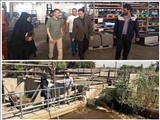تداوم پایش میدانی واحدهای صنعتی و تولیدی در شهرری
