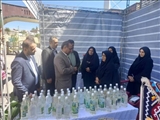 برپایی نمایشگاه رویداد ملی فعالان مشاغل خانگی در شهرستان فیروزکوه