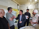 بازدید سرزده معاون عمرانی فرمانداری فیروزکوه از نانوایی‌های شهرستان