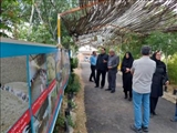 موانع دو طرح گردشگری شهرستان با حضور معاون امور آمایش سازمان برنامه و بودجه کشور بررسی شد