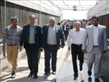 بازدید معاون باغبانی وزیر جهاد کشاورزی از گلخانه های شهرستان پاکدشت 