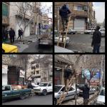 اجرای پانزدهمین مرحله از طرح محله محور جمعه های جهادی شهرداری ملارد